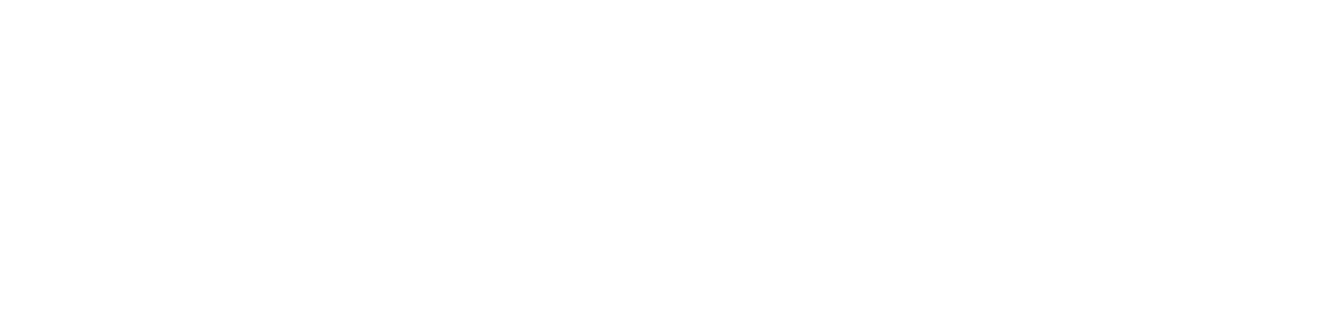 Partner Logo 3